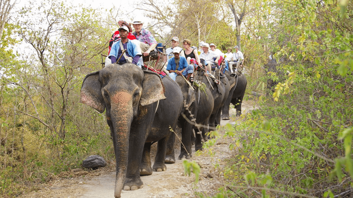 קרן הפילים הוטסדין (Hutsadin Elephant Foundation)
