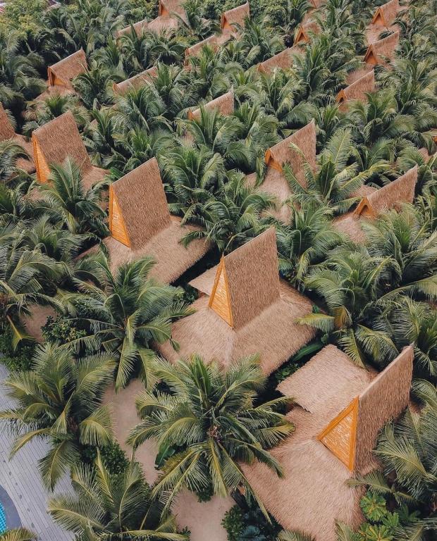 פי פי קוקו ביץ' ריזורט (Phi Phi CoCo Beach Resort)