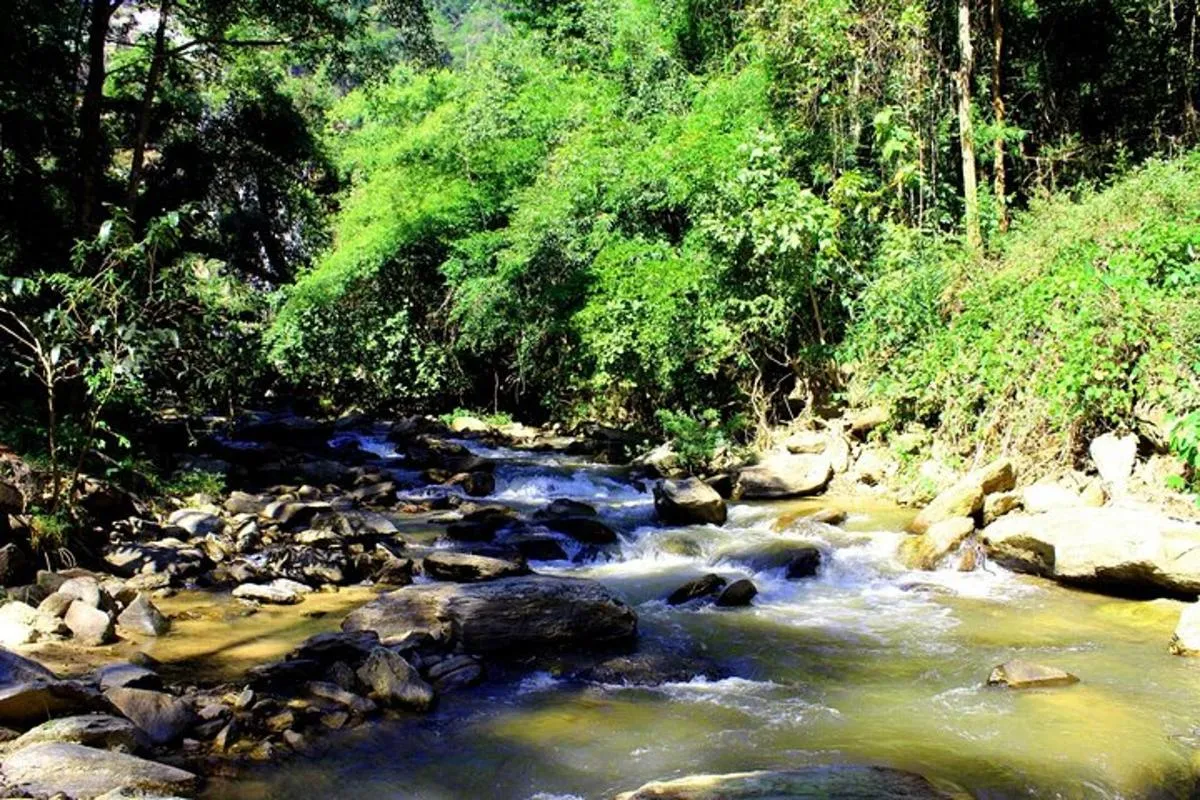 טיול יום לדוי אינתנון – Day tour to Doi Inthanon